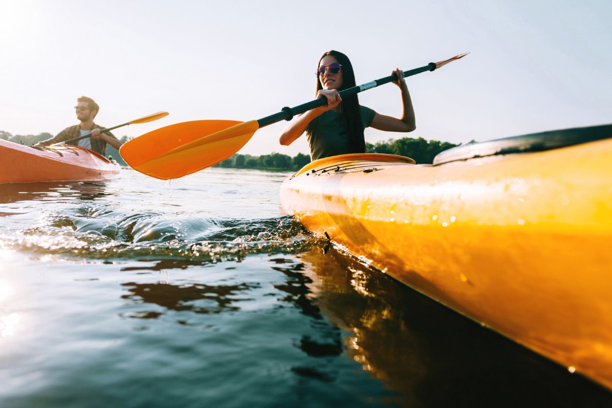 Kayaking with Penguins