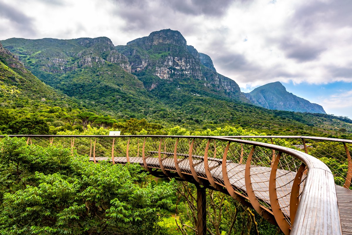 Kirstenbosch National Botanical Garden