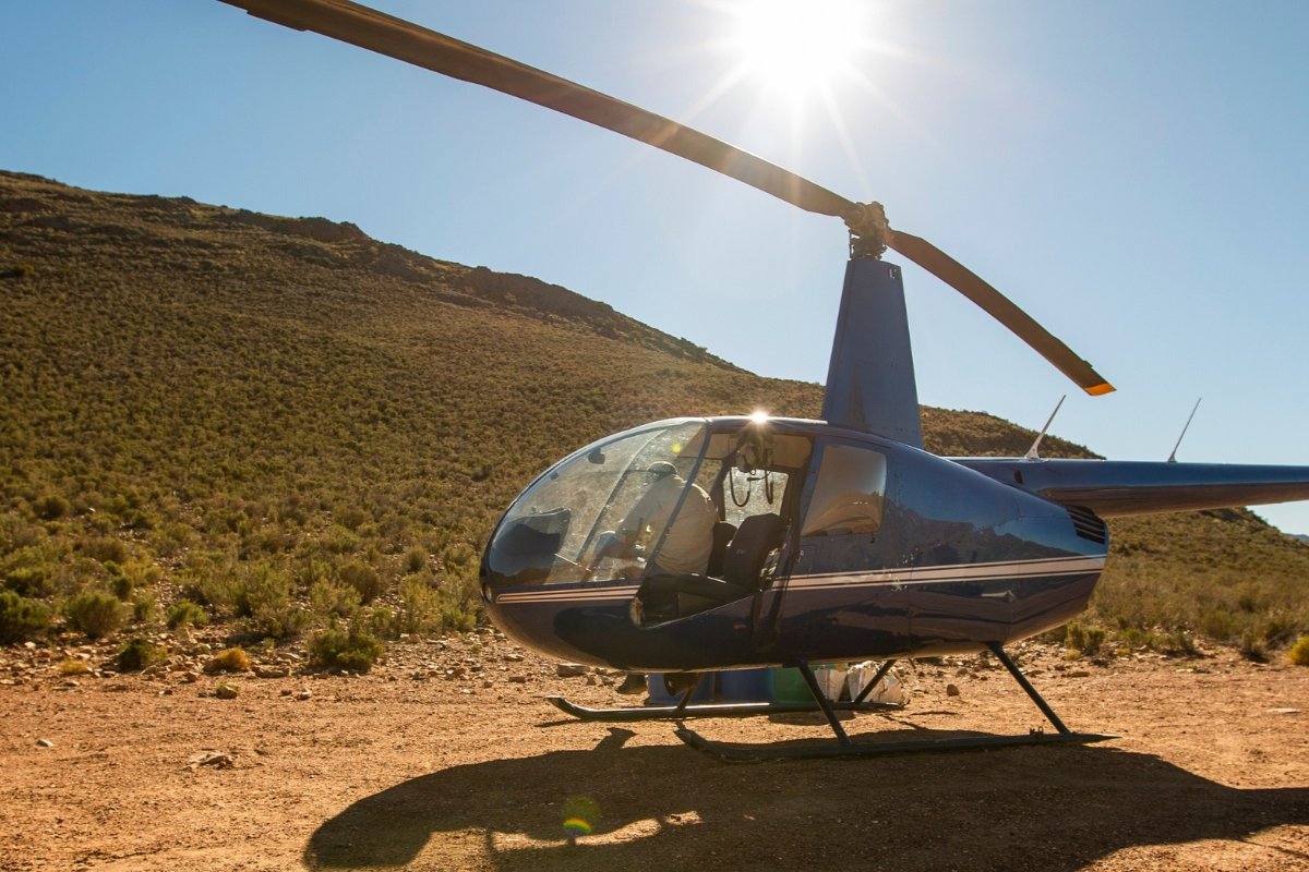 Helicopter Safaris — The Aerial Perspective